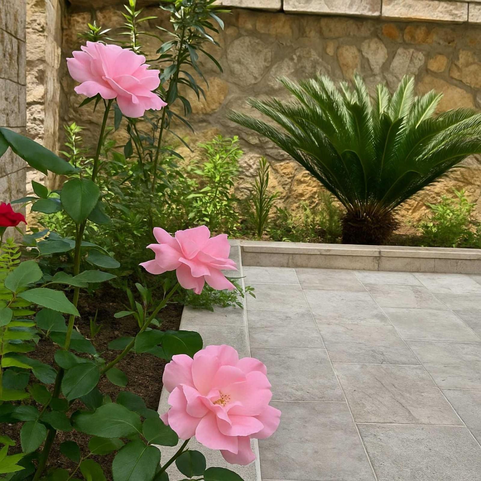 Apartments Villa Mirjana Budva Eksteriør bilde